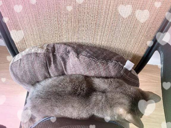 普段は…触れない…