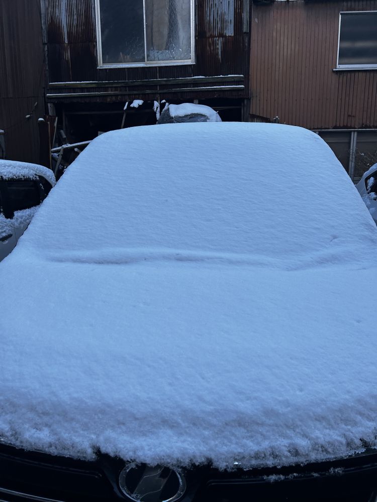 ( ꒪Д꒪)ヤバ…