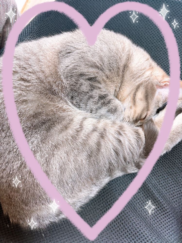 椅子取りゲーム開始…