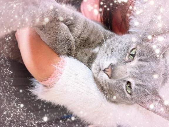 癒やされてる…