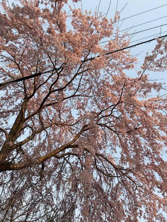 ルーティンで…