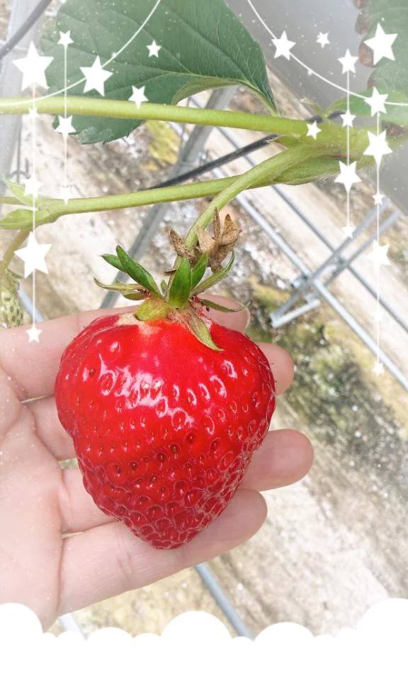 Let's…