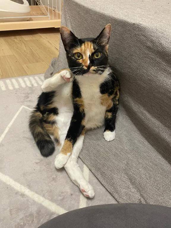 香菜子◇かなこ