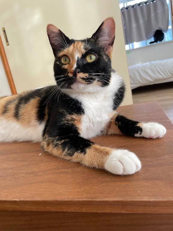 おはよー♡