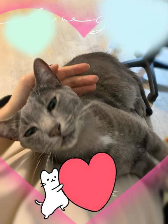 可愛い💕