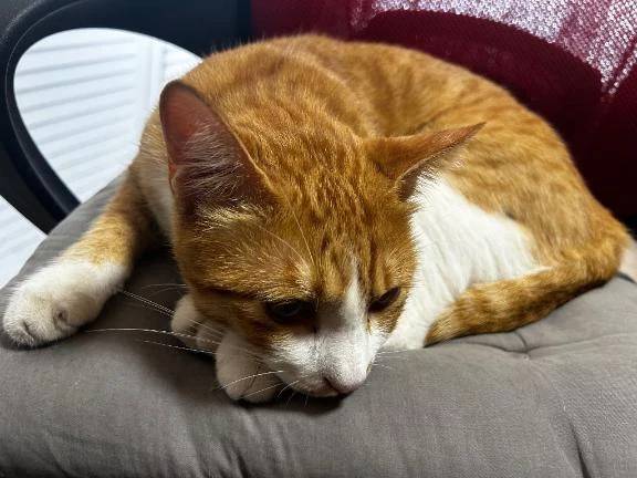 今日の1枚