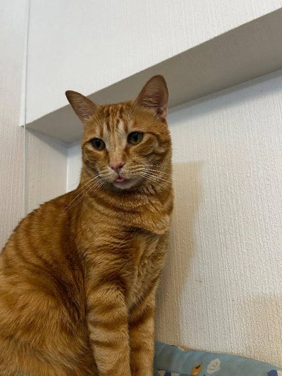 今日の1枚♡
