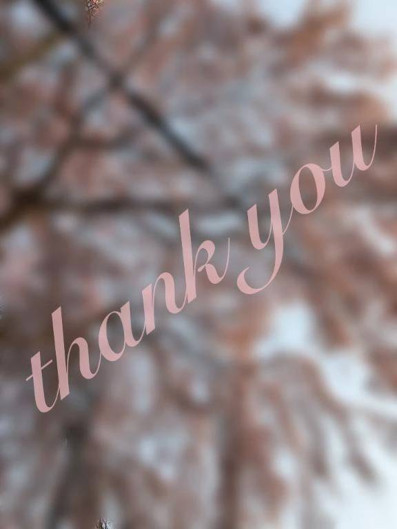 琴美◇ことみ