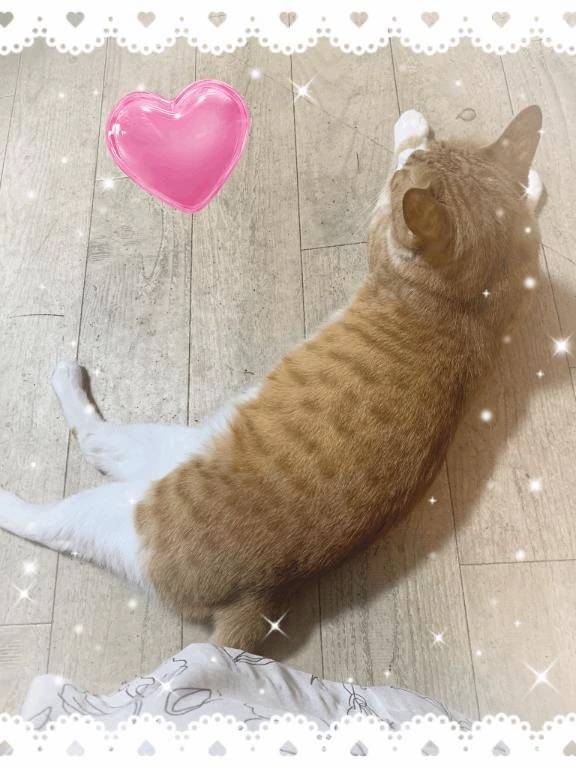神楽◇かぐら