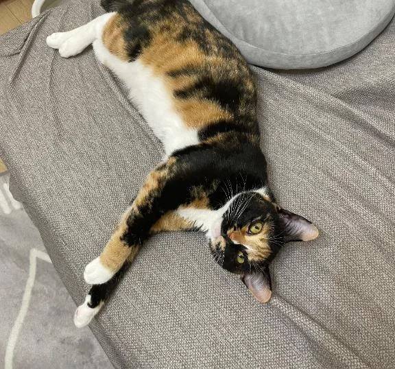 香菜子◇かなこ