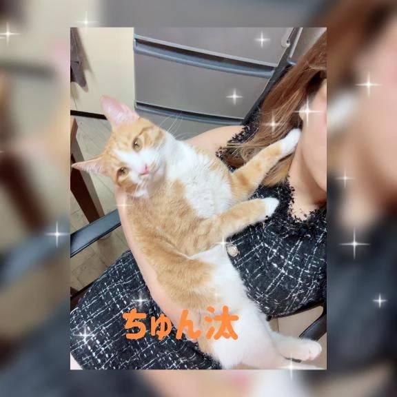 [お題]