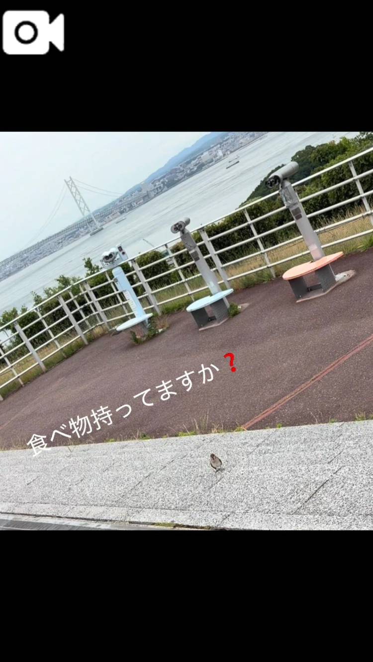 琴美◇ことみ