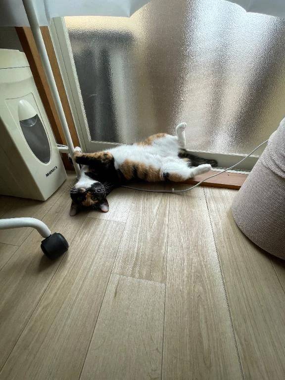 のんびり…