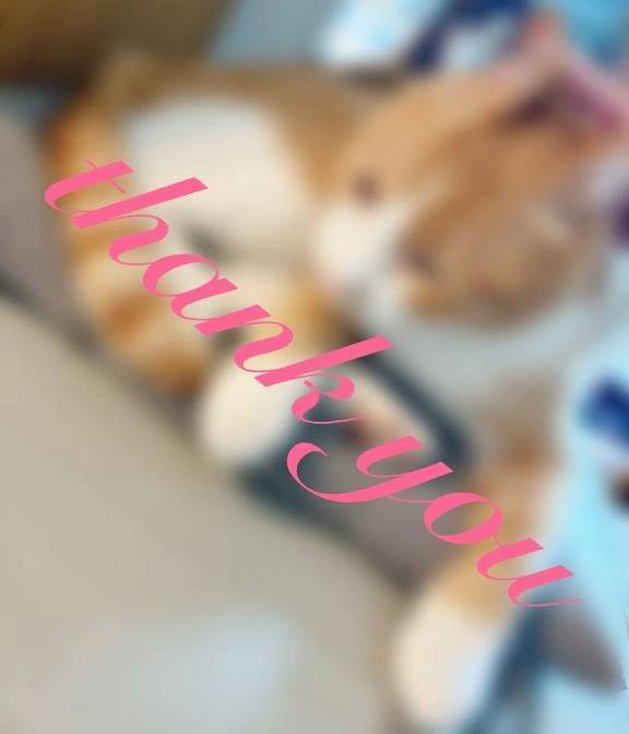 お礼♡