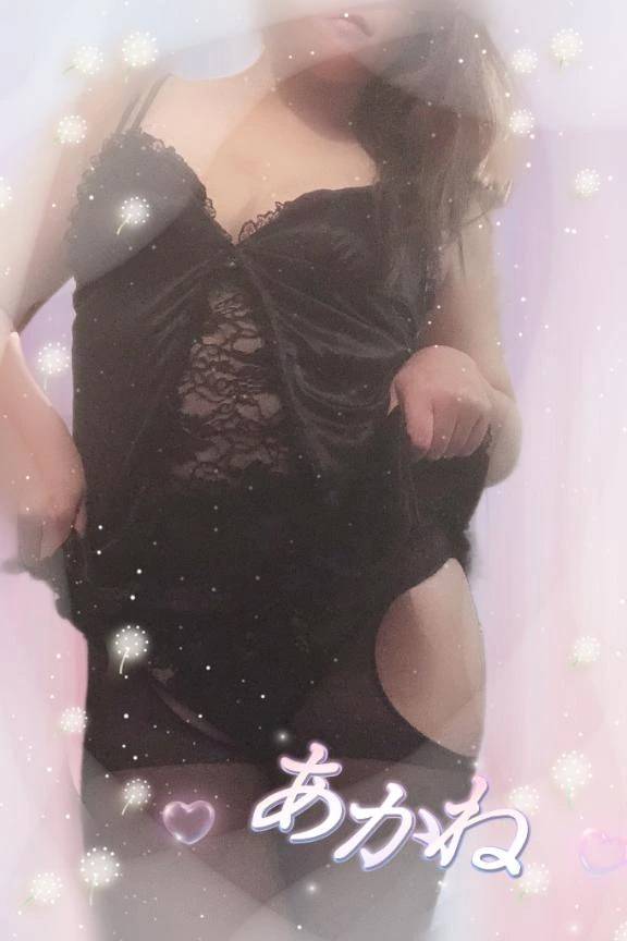 見てみて👀