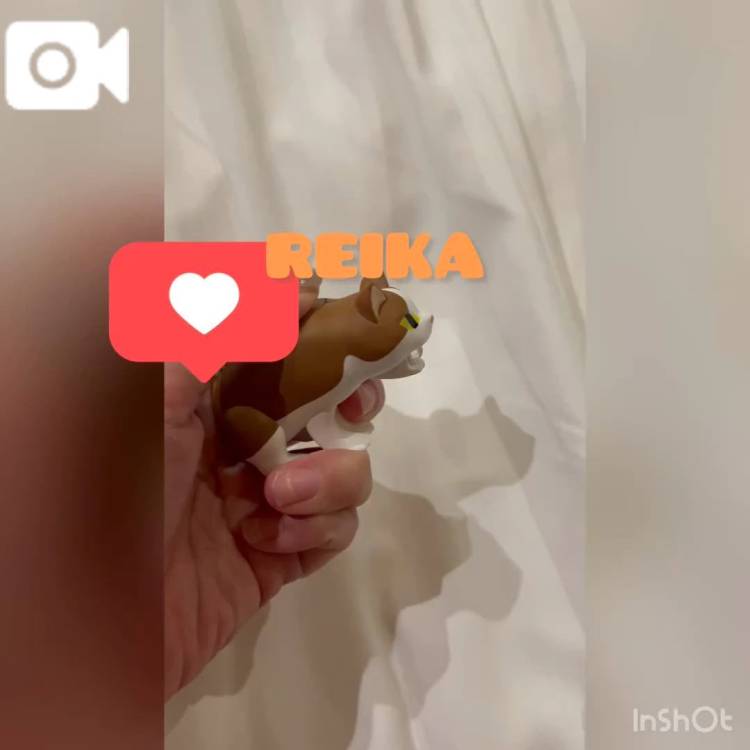 愛にきてね…？💗