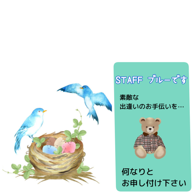 ✩.*˚とまり木 STAFF ブルーバード✩.*˚（とまり木～僕だけの場所～）