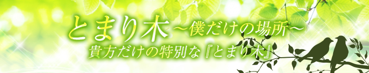 とまり木～僕だけの場所～（徳島市 デリヘル）