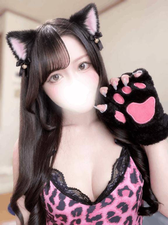 猫ではありません