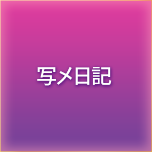 写メ日記