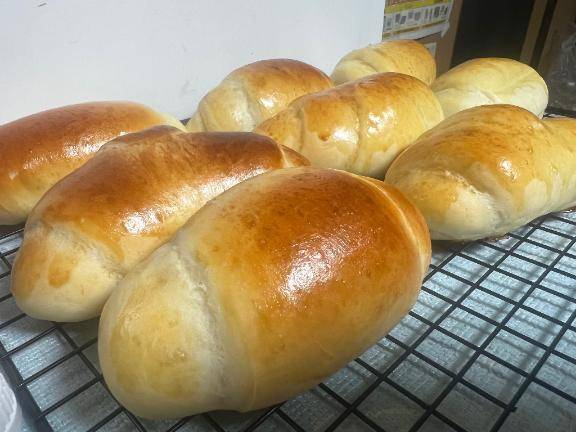 出勤するよん?