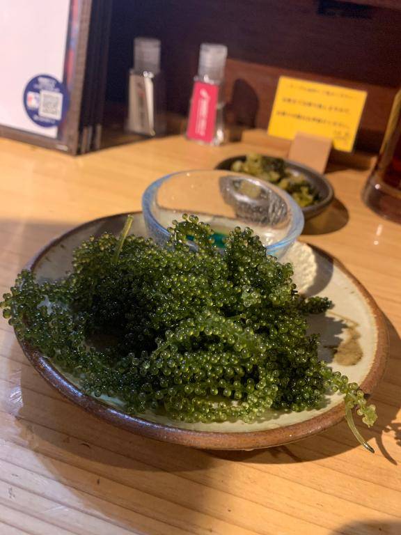 ブライトパークホテルのお客様??