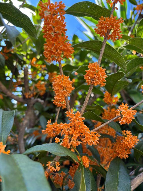 リバティ 305号室のお客様??