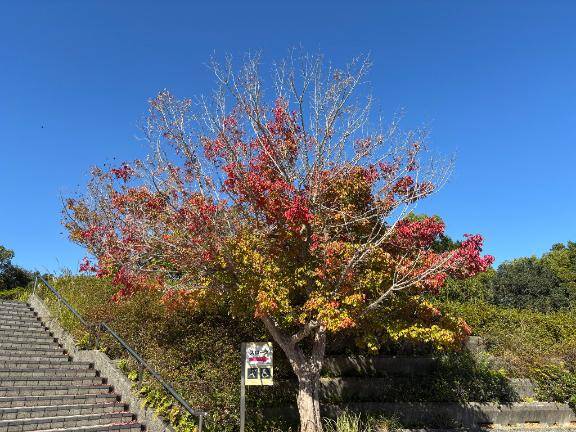 ご自宅のお客様??