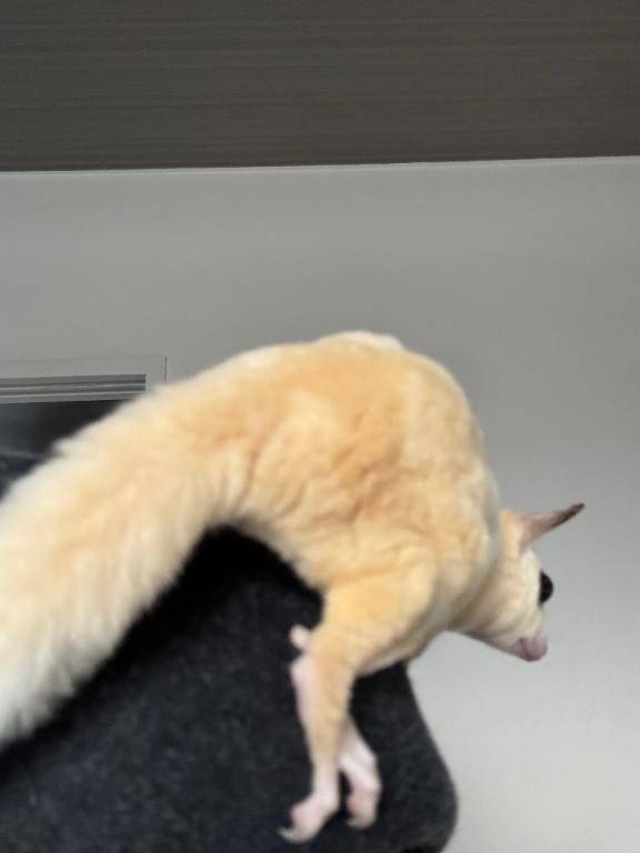 ホテル港 13号室のお客様??