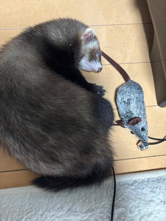 ベル 702号室のお客様??