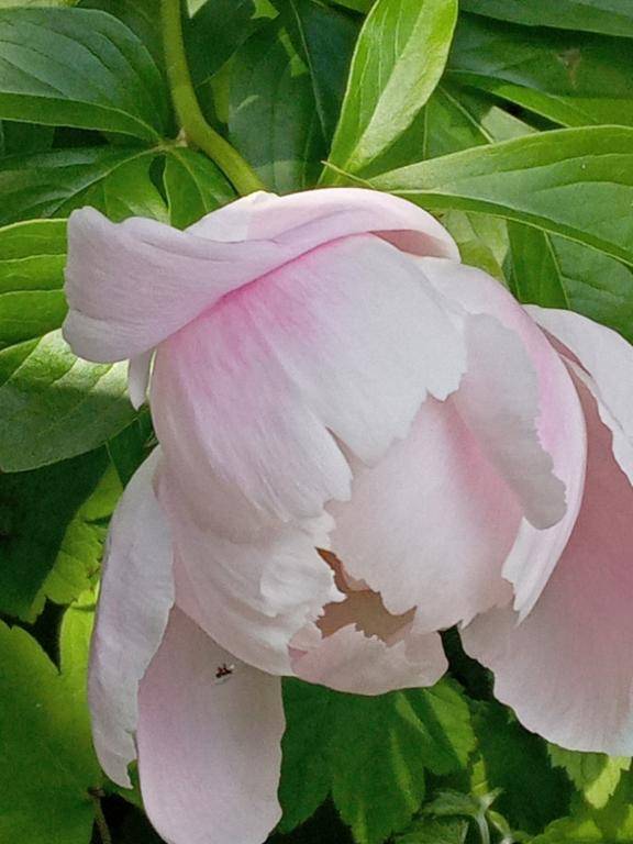 港のオキニトーク様！