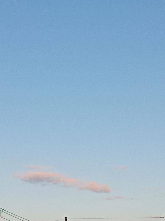 今年のお礼と来年に向けての抱負。