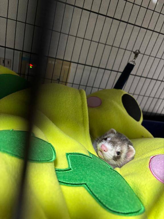 ウェルカムホテル高知のお客様??