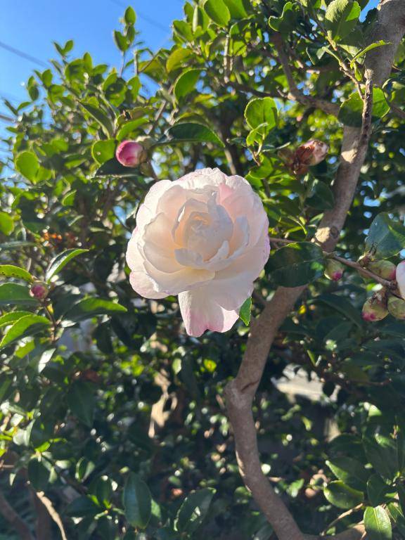 西鉄インのお客様??