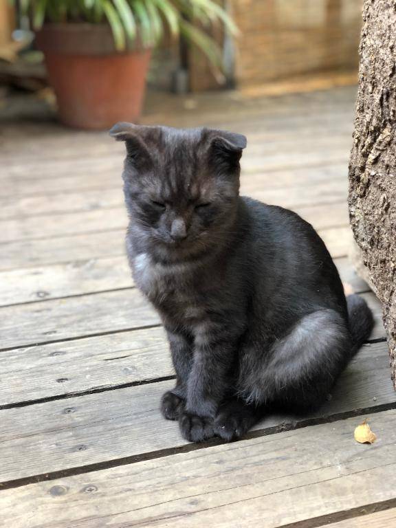 リバティ 202号室のお客様??