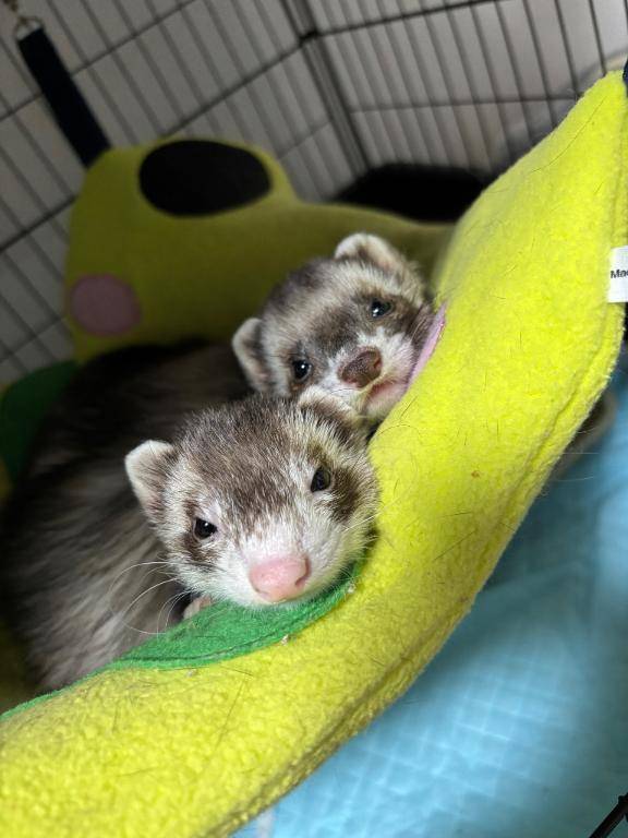 港 15号室のお客様??