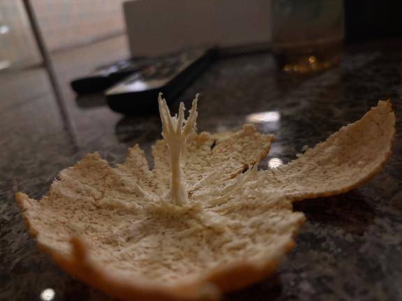 港 18号室のお客様??