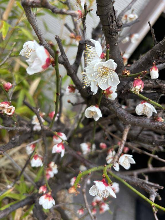 西鉄インのお客様??