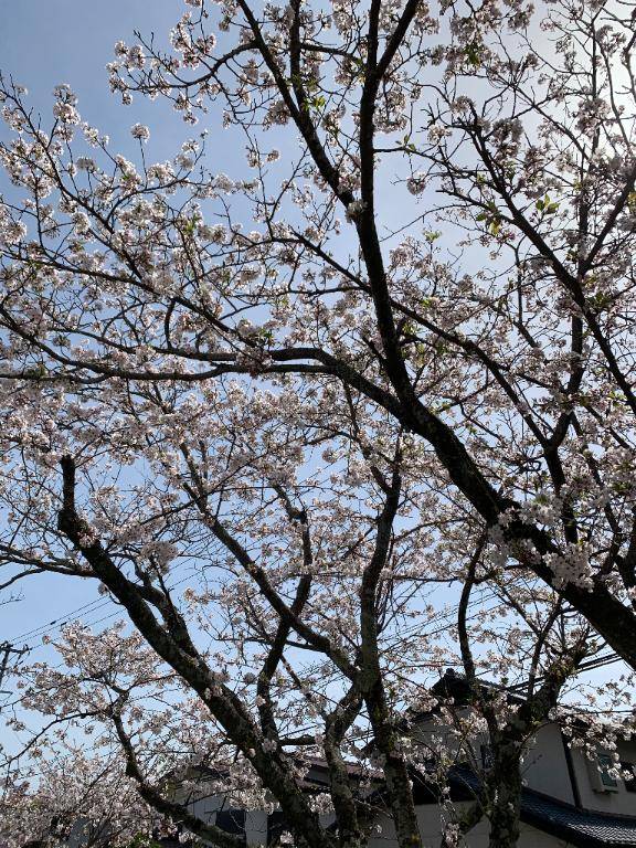 ベル 805号室のお客様??