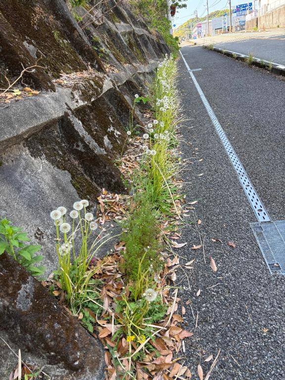 シルビア 506号室のお客様??