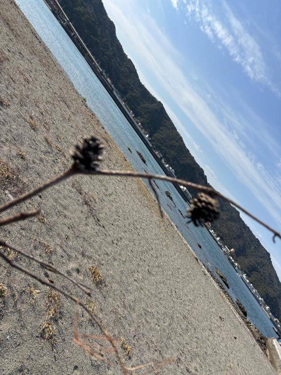 シルビア 401号室のお客様??