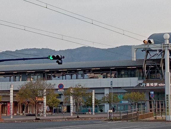 高知の桜は‥‥満開でない！？