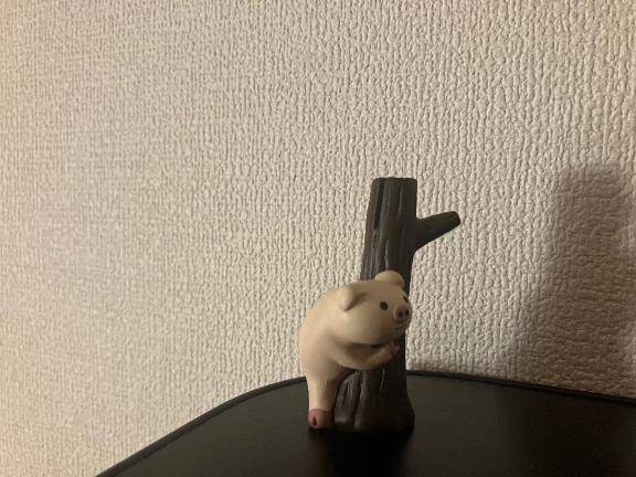 悲しい真実