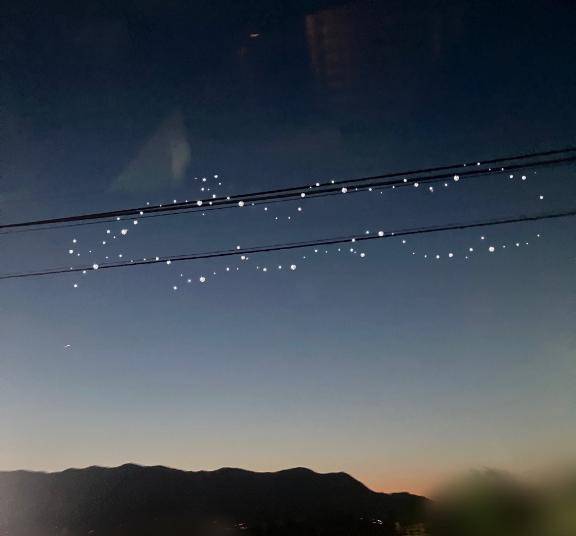 杏樹(あんじゅ)（出張メンズエステ TORICO SPA 高知店）