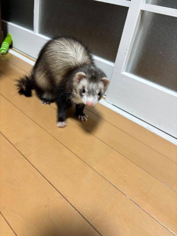 ツーリストイン高知のお客様??