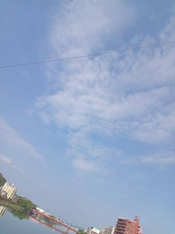 雨上がりの木々の香り