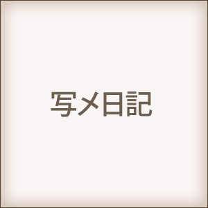 写メ日記