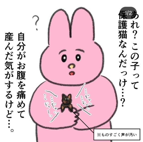 9/7 感謝のきもち🐈️❤️