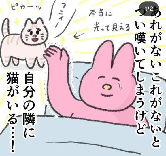 9/8　感謝のきもち🐈️❤️
