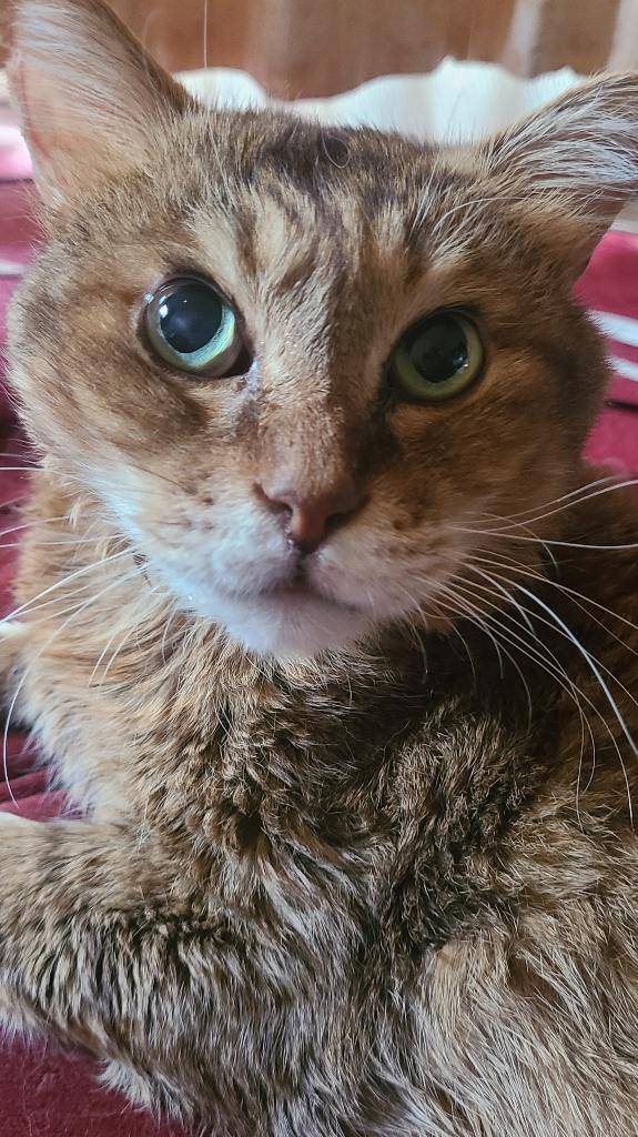 11/12 ありがとう💌🐈️